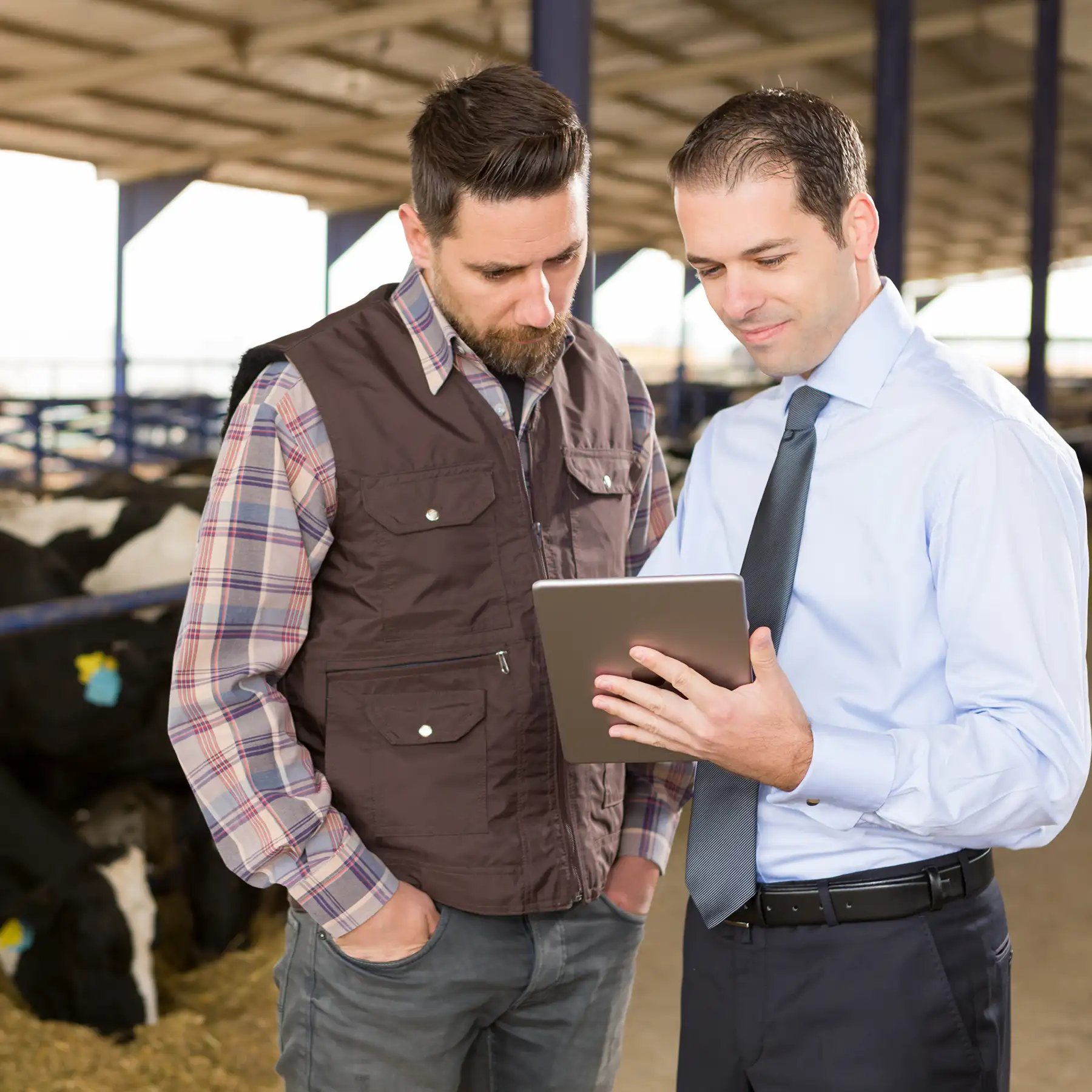 Two men inside a barn examining a tablet, surrounded by rustic wooden beams and farm equipment.